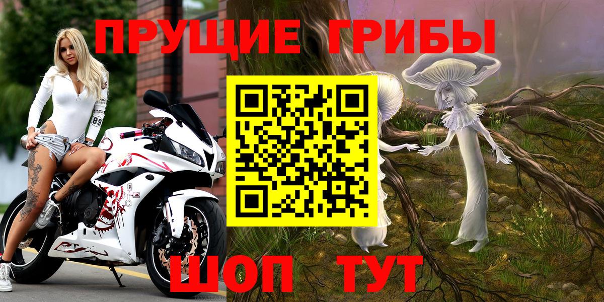 Псилоцибиновые грибы мицелий Евпатория